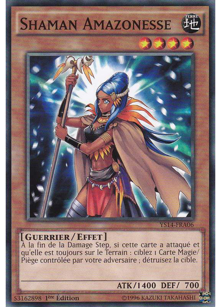 Shaman Amazonesse