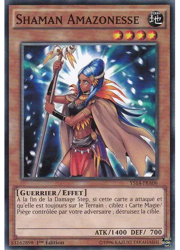 Shaman Amazonesse