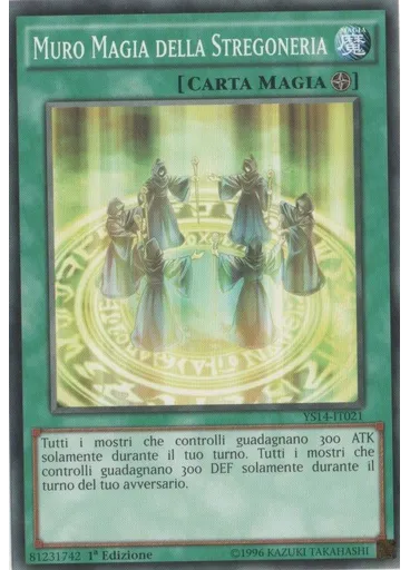 Muro Magia della Stregoneria