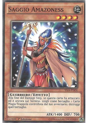 Saggio Amazoness