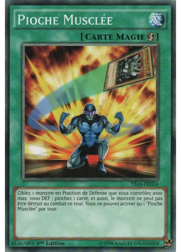 Pioche Musclée