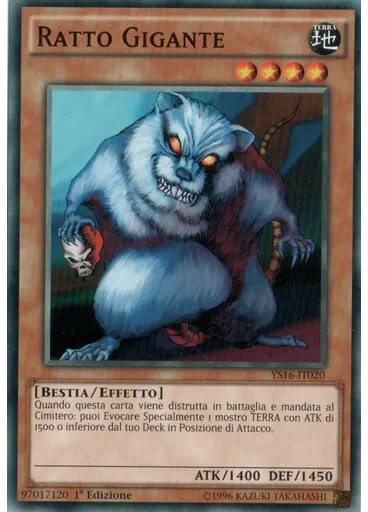 Ratto Gigante