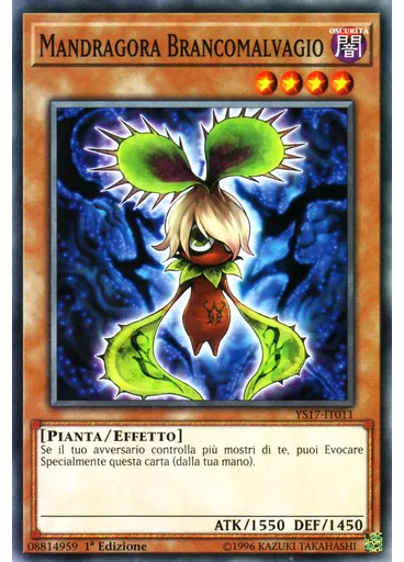 Mandragora Brancomalvagio