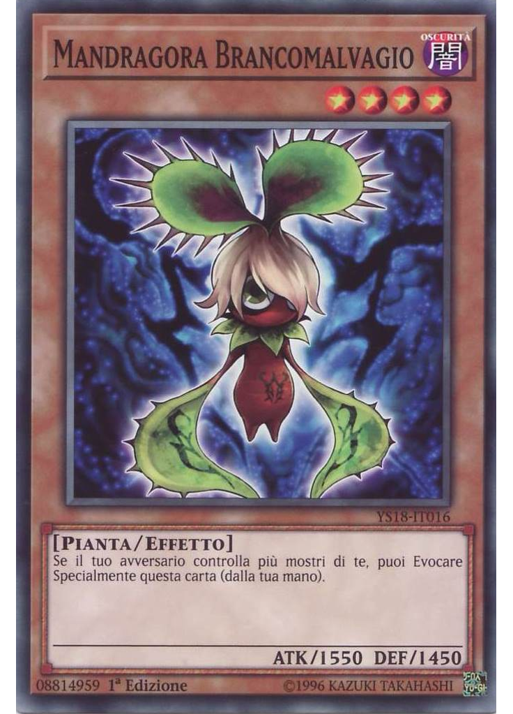 Mandragora Brancomalvagio