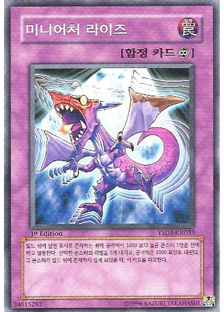 미니어처 라이즈