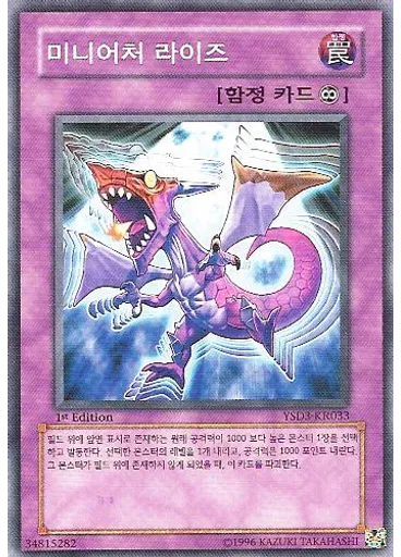미니어처 라이즈