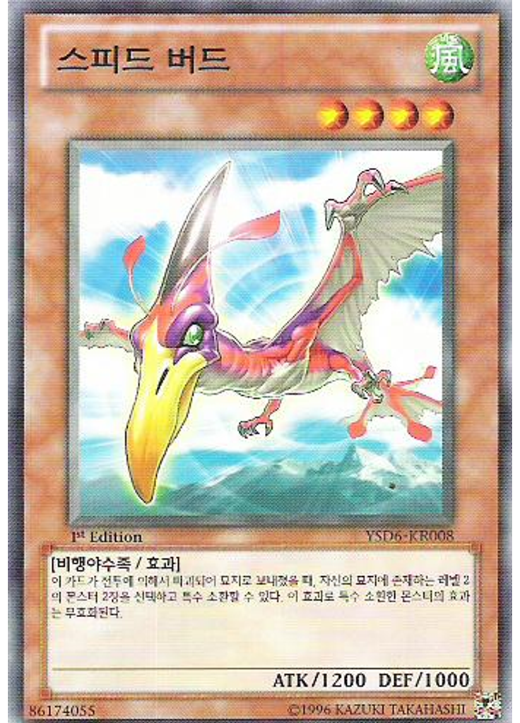 스피드 버드