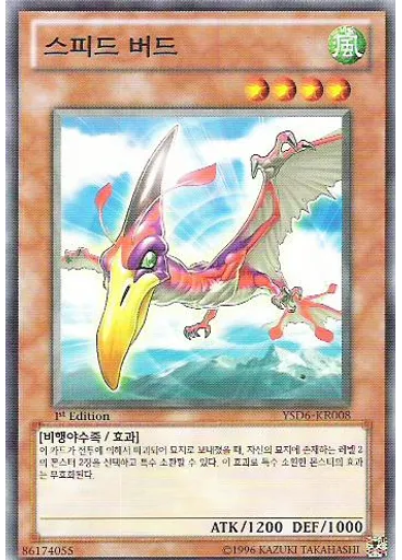 스피드 버드