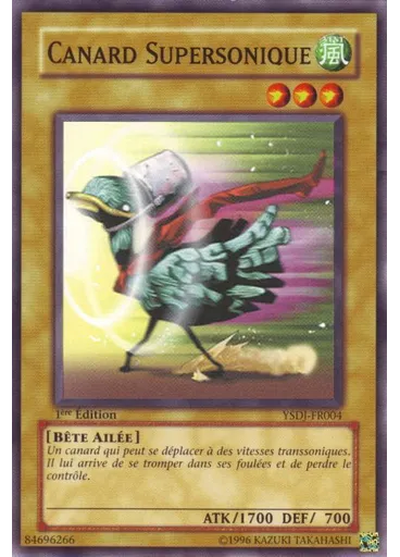 Canard Supersonique