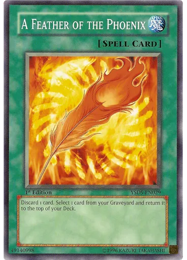 A Feather of the Phoenix