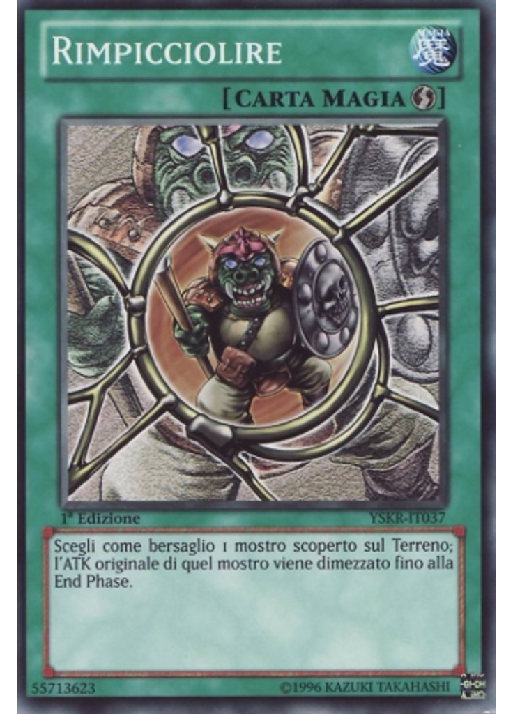 Rimpicciolire