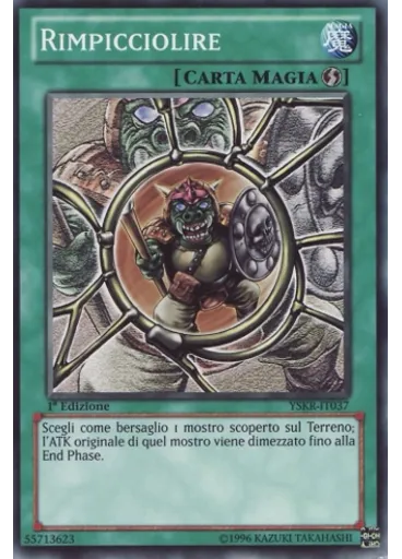 Rimpicciolire