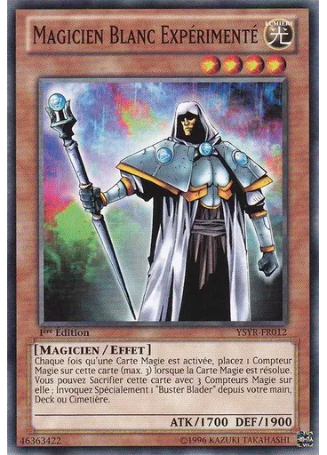 Magicien Blanc Expérimenté