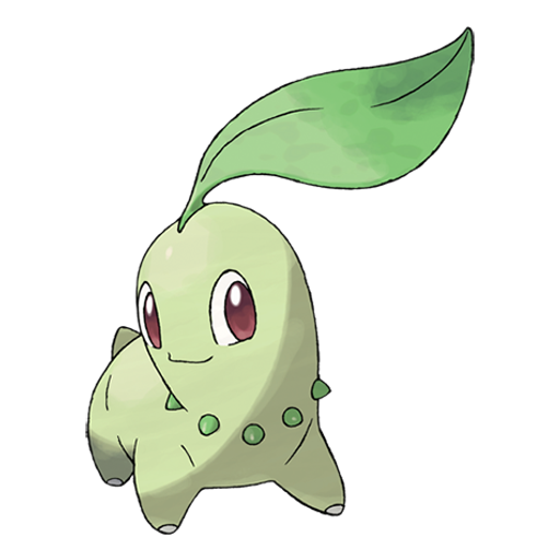 Chikorita