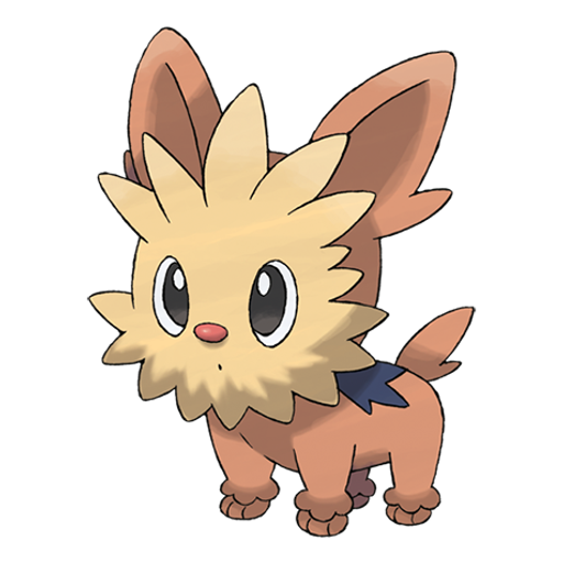 Lillipup