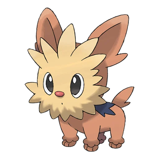 Lillipup