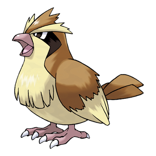 Pidgey