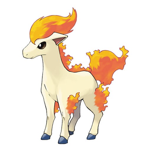 Ponyta