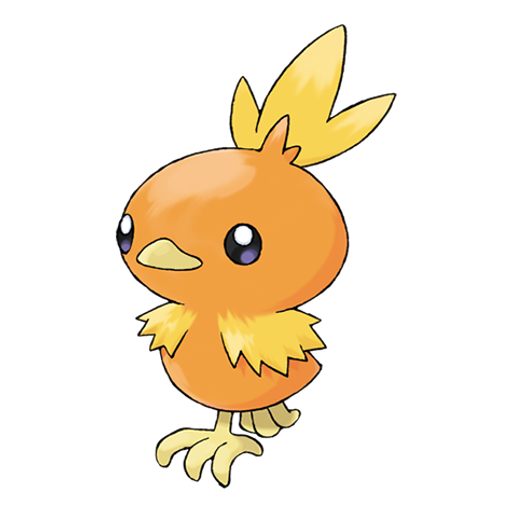 Torchic