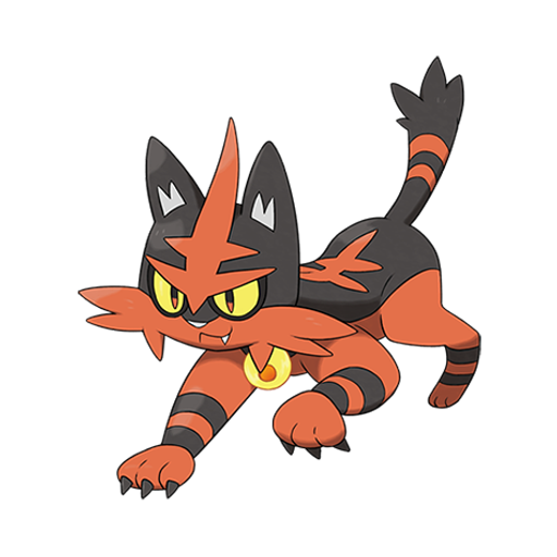 Torracat