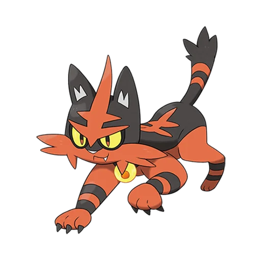 Torracat