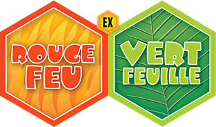 EX Rouge Feu & Vert Feuille