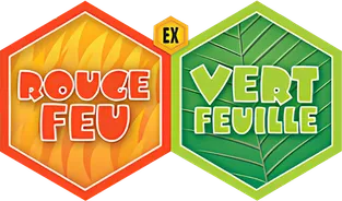EX Rouge Feu & Vert Feuille