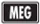 Mega Evolution